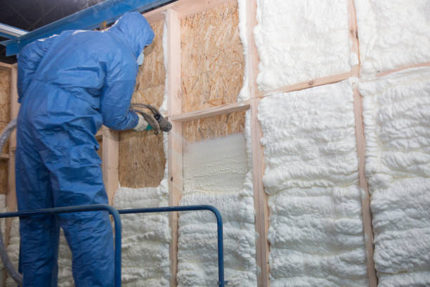 Best Batt and Roll Insulation  in USA